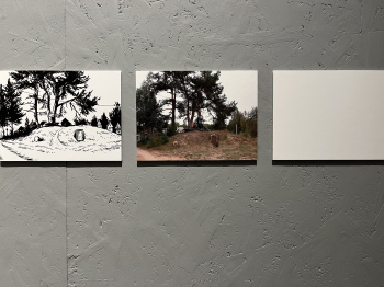 Культура кучи. Группа Андрея Воронова. «Область», Архитектон, 2025. Фотография © Алена Кузнецова / Архи.ру Культура кучи. Группа Андрея Воронова. «Область», Архитектон, 2025. Фотография © Алена Кузнецова / Архи.ру