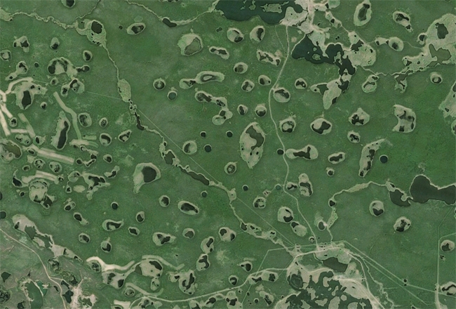 Ландшафт алаасов к северу от Якутска. Картографические данные © 2012 Google, Landsat