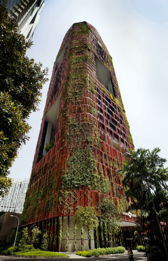 Башня Oasia Hotel Downtown © WOHA, Patrick Bingham-Hall