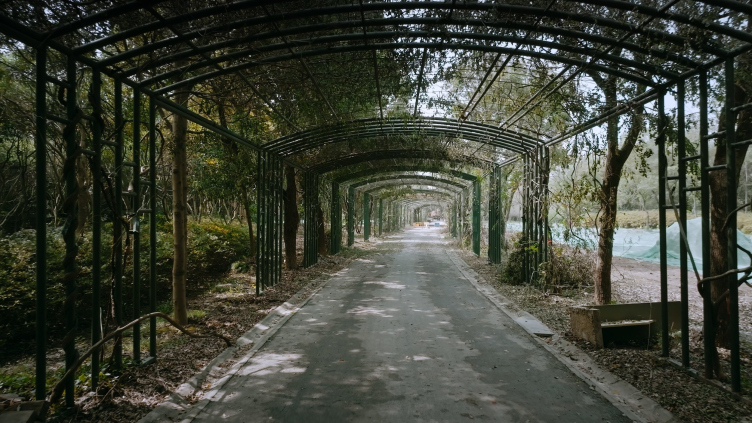 Парковый павильон Emerald Screen Pergola в Уси – состояние до реконструкции
Фотография © Wutopia Lab zooming