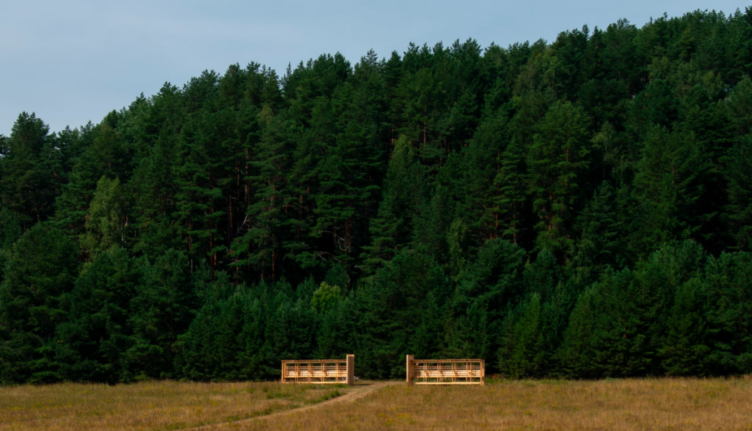 Противо стояние, Творческое объединение КУБ+
Фотография © Князева Екатерина, Захарова Дарья / Предоставлена АрхиWOOD zooming