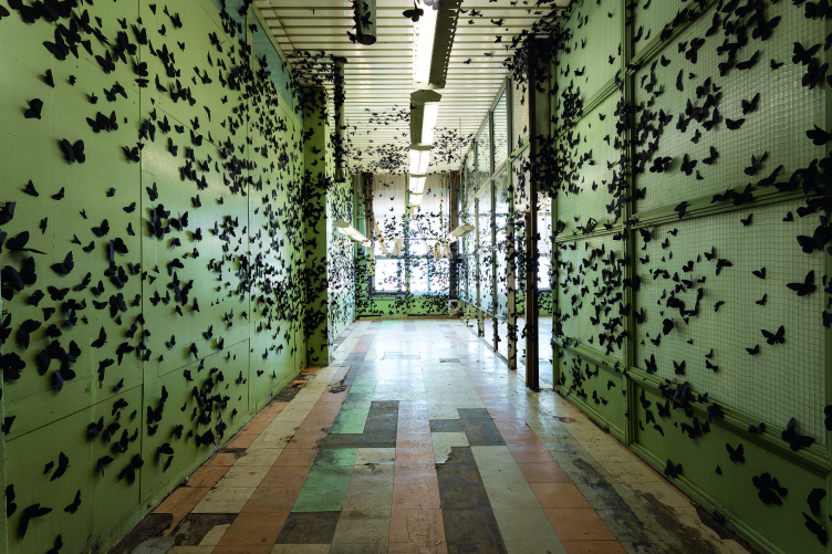 Карлос Аморалес. Инсталляция «Черное облако». По замыслу художника, прикрепленные
к стенам 30 тысяч бумажных бабочек символизируют мимолетность бытия и должны вызывать у посетителей ощущения в диапазоне от трепета до тревоги. Экспозиция Уральской биеннале
в Екатеринбурге. 2019
Фотография © предоставлена Planet9 zooming