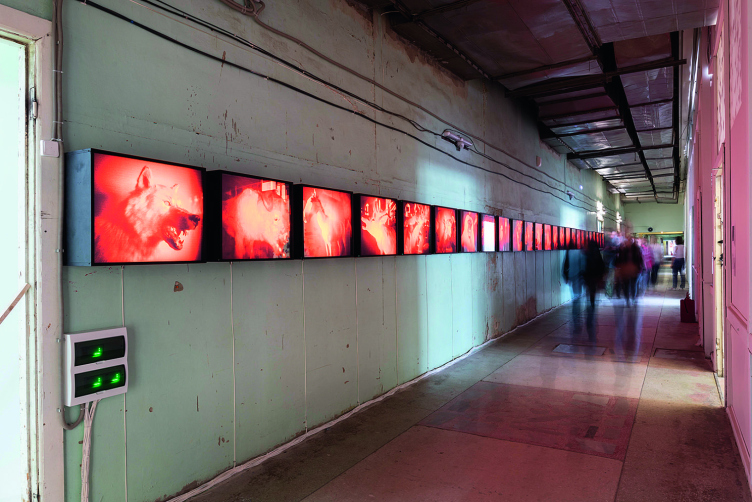 Владислав Ефимов.
«Без крови». В работе художник переосмысливает суть музеев биологии: они предстают местом встречи людей со смертью. Экспозиция Уральской биеннале в Екатеринбурге. 2019
Фотография © предоставлена Planet9 zooming