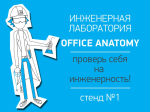 : officeanatomy.ru