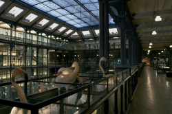 Реновация Большой галереи эволюции Музея естественной истории