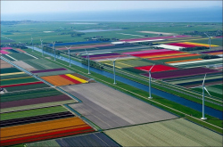 Мармолеум: живые краски Голландии для всего мира