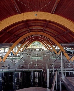 Вино Вальядолида Вино Вальядолида