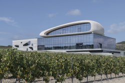 &#8203;Shape of the Winery