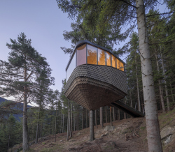 На берегу норвежского фьорда построили гостиницу-на-дереве