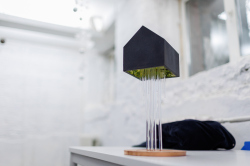 NEXT �� ��� ������: ���� ������ �������