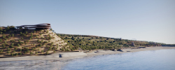 Nests in Primorye