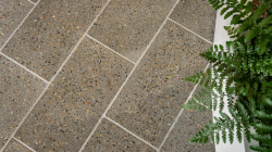 ����, ���������� ����������