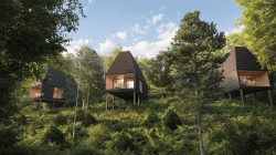 ���� �����