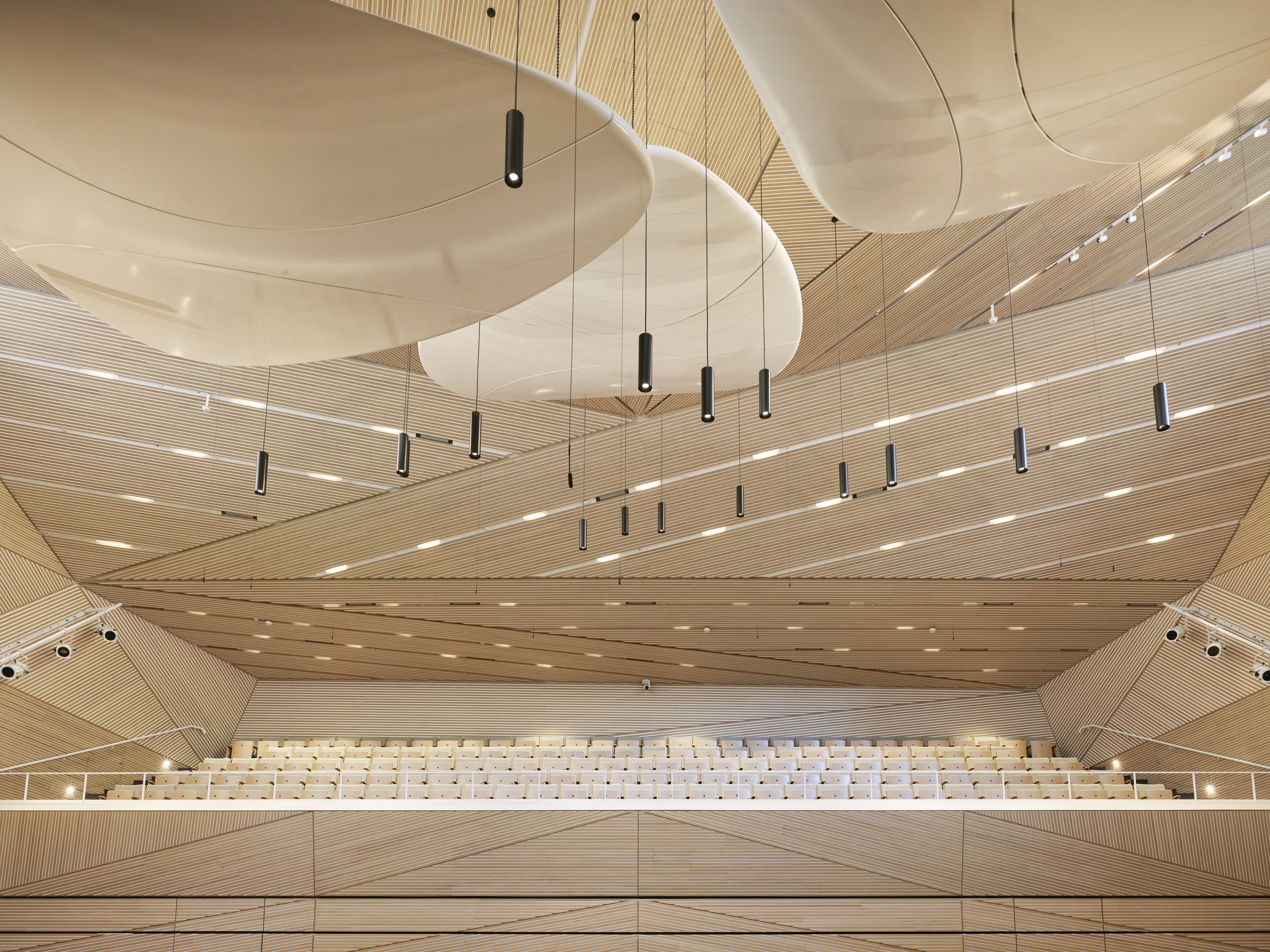 Какие есть концертные залы. Biglen концертный зал в Швейцарии. Andermatt Concert Hall. Акустический потолок Экофон. Потолок в концертном зале.