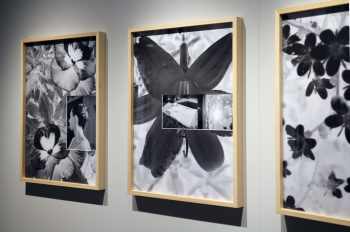Выставка «Сообщенрие», Ruarts Foundation, 19.07–19.10.2025 Фотография © Юлия Тарабарина, Архи.ру
