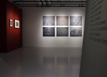Выставка «Сообщенрие», Ruarts Foundation, 19.07–19.10.2025 Фотография © Юлия Тарабарина, Архи.ру