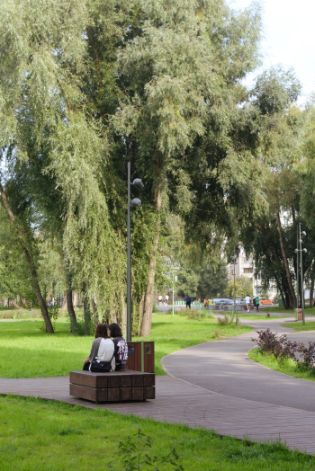 Приозёрный парк «Тёплый берег». Детали. Зона у озера Фотография © Анастасия Сухарева / предоставлена Институт развития городов и сел Башкортостана