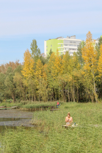 Приозёрный парк «Тёплый берег». Детали. Зона у озера Фотография © Анастасия Сухарева / предоставлена Институт развития городов и сел Башкортостана
