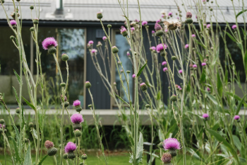 Очарование бунтаря Фотография © Александр Артамонов / предоставлена EASYBUREAU