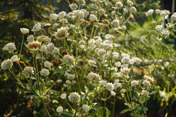 Очарование бунтаря Фотография © Александр Артамонов / предоставлена EASYBUREAU