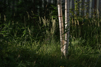 Очарование бунтаря Фотография © Александр Артамонов / предоставлена EASYBUREAU