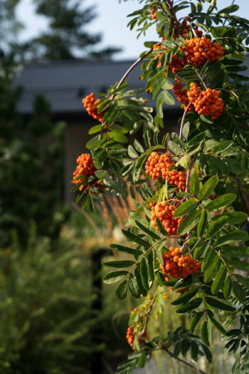 Очарование бунтаря Фотография © Александр Артамонов / предоставлена EASYBUREAU