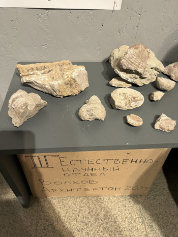 Группа Ильи Мукосея. «Область», Архитектон, 2025. Фотография: предоставлена Ильей Мукосеем