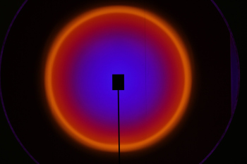 Зодчество 2025 Фотография © Юлия Тарабарина, Архи.ру