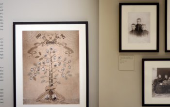 Выставка «Архитекторы братья Веснины. Начало», Музей архитектуры, 2025 Фотография © Юлия Тарабарина, Архи.ру