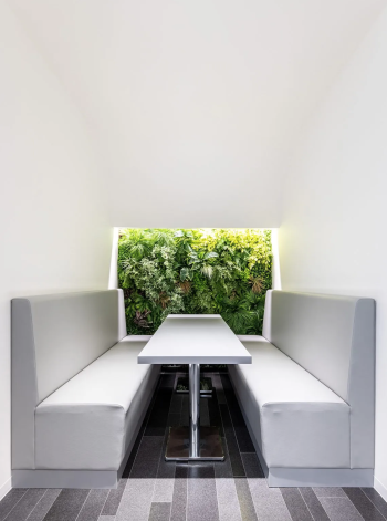 Pure Semicircles © Stirling Elmendorf