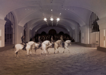 Конюшенный музей Вероника Гареева