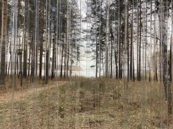 Теплица в Рефтинском Фотография © Анна Марченкова / предоставлена Архитектурное бюро UTRO