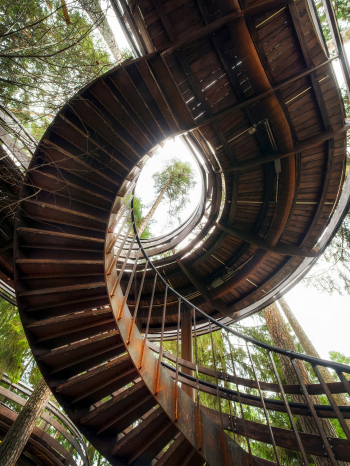 Вторая ось Фотография @ Михаил Козлов