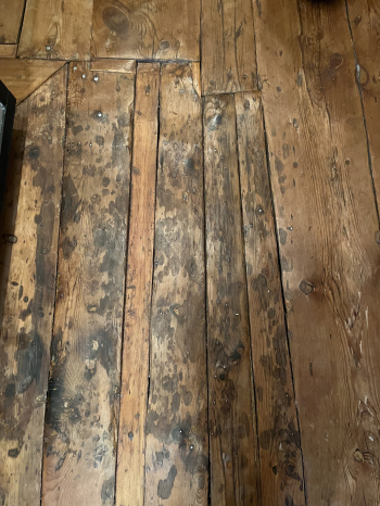 Музей ОБЭРИУ, декабрь 2025 Фотография © Алена Кузнецова / Архи.ру