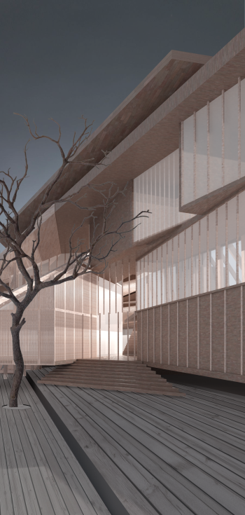 «Арктический ковчег» © Татьяна Черепнева, МАРХИ, Москва