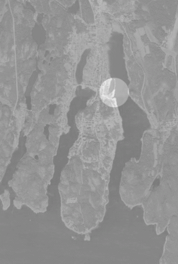 «Арктический ковчег» © Татьяна Черепнева, МАРХИ, Москва