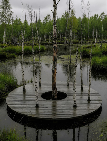 Сергей Катран. «Автономный рай» © Изображение предоставлено пресс-службой арт-парка Никола-Ленивец