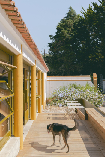 Doma Cafe & Bakery Фотография © Carolina Delgado / предоставлена Rhizome