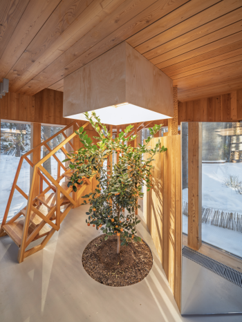 Sauna Tower (Башня-Баня) /
Александр Бродский, Мария Кремер Фотография © Юрий Пальмин