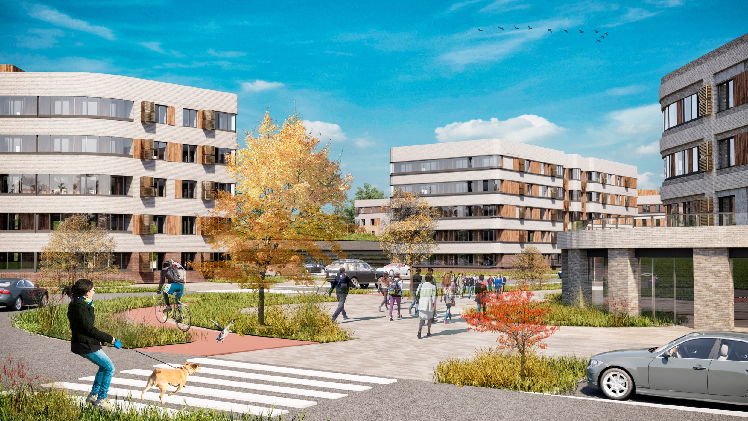 Проект застройки кварталов в Доброграде