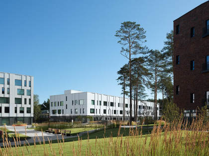 ����� ������ ������-�������������� ����� ���