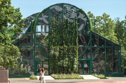 ������ ������