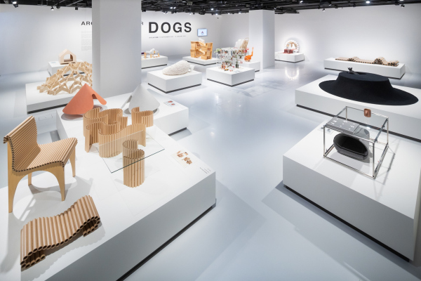     : Jeremie Souteyrat.  Architecture for Dogs
