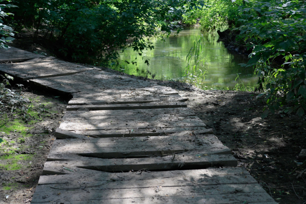 The boardwalks and stairs in the eastern part have rotted at some places. Valley of the Setun River in the area of Gzhatskaya street. The current state Copyright: Photograph: Archi.ru