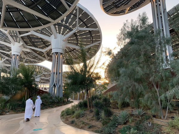 DISPLAY  Terra the Sustainability Pavilion, Dubai Expo 2020 by Grimshaw   Philip Handforth 