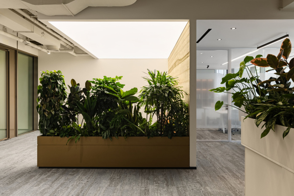 Transcontinental company′s office Copyright: Photograph  Sergey Nekrasov / provided by + Architects