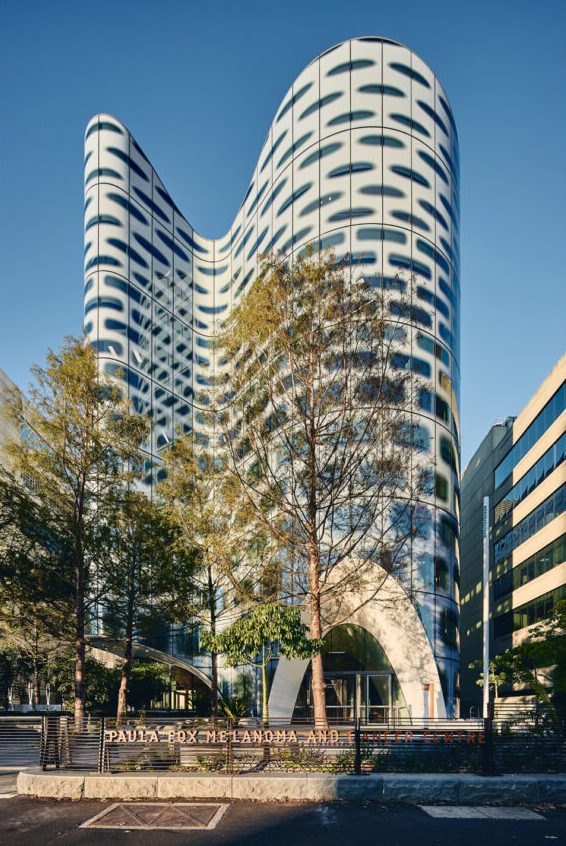 Health: Paula Fox Melanoma and Cancer Centre, , .
: Lyons Photo by  Lyons /  WAF