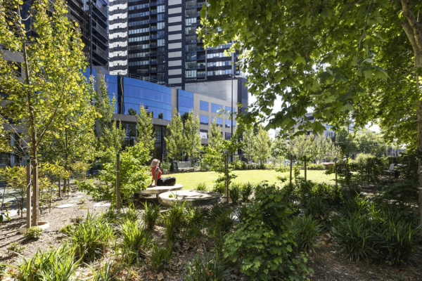 Transforming Southbank Boulevard, , .
 TCL  City of Melbourne and Mike Hewson Photo by  Diana Snape, TCL, Mike Hewson /  WAF