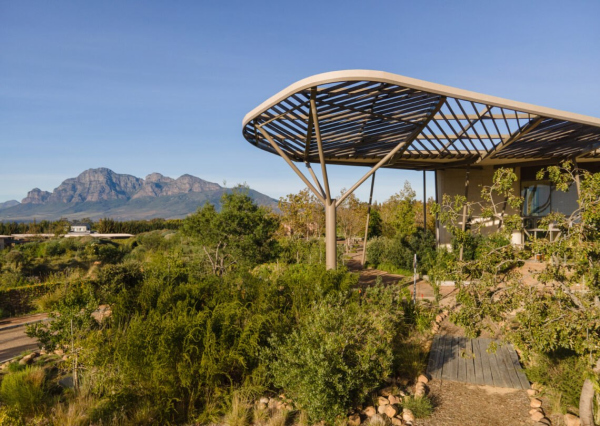 Green School South Africa, , . : GASS ARCHITECTURE STUDIOS Photo by  Daniela Zondagh Photography /  WAF