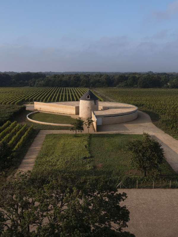     Vignoble de Rhuys   Guillaume Amat